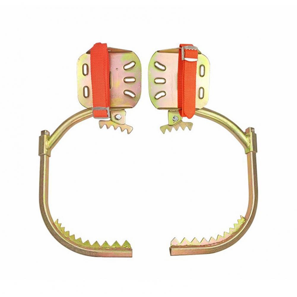 1 Set Tree Climbing Spike Adju - Shoe Tree ulasan dan harga
